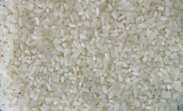 Broken Rice For Export